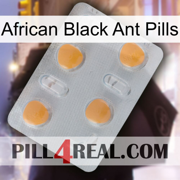 African Black Ant Pills 24.jpg